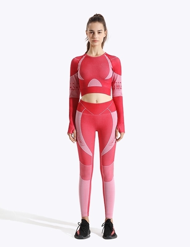 Swirl workout Seamless Long Sleeve Crop Top